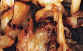 Grilled Oyster Mushrooms