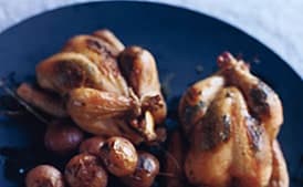 Grilled Poussins with Lemon Herb Butter