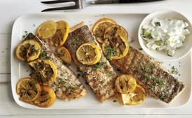 Grilled Salmon with Meyer Lemons and Creamy Cucumber Salad