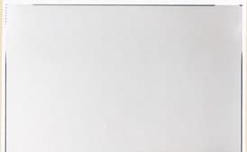 Grilled Skirt Steaks with Parsley Oregano Sauce