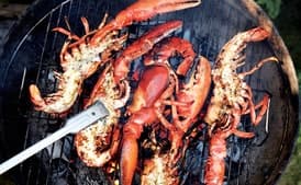 Grilled Split Lobster