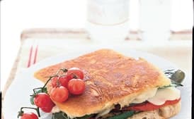 Grilled Vegetable and Mozzarella Panini
