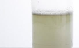 Homemade Ginger Beer