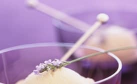 Honey Lavender Ice Cream