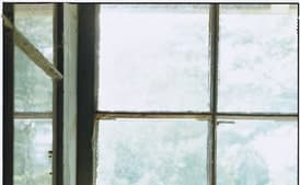 Jerusalem Artichoke Pickles