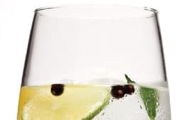 José's Gin & Tonic