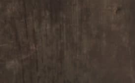 Lasagne Bolognese with Spinach