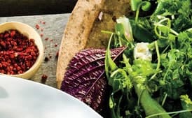 Leafy No-Lettuce Salad