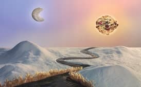 Lemon Cranberry Florentines