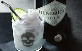 Lenin and Lime Gin and Tonic Sorbetto