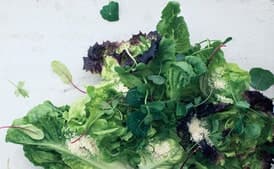 Lettuce Hearts with Shaved Hazelnuts