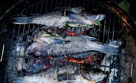 Lime-and-Cilantro-Stuffed Black Bass