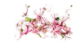 Lime-Pickled Red Onion