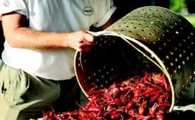 Link Family Crawfish Boil