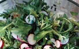 Mâche, Frisée, and Radish Salad with Mustard Vinaigrette