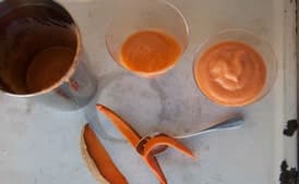 Mamey Milkshake