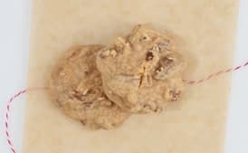 Megan's Pecan Pralines