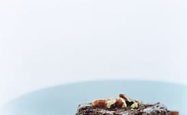 Mexican Turtle Chocolate Mink