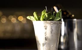 Mint Julep