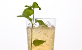 Mint Julep Spritzer