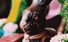 Molded Chocolate Bunny