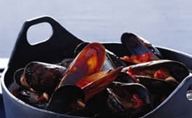 Mussels with Tomato Broth