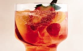 Negroni Punch