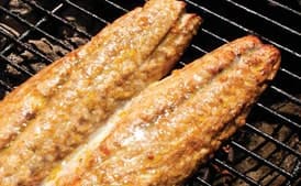 Orange-Scented Bluefish