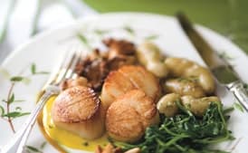 Pan-Seared Scallops with Lemon Sauce