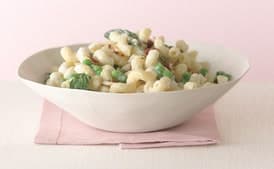 Pasta in Almond Garlic Sauce