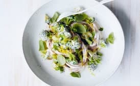 Pasta With Broccoli and Lemon Cashew-Cream Sauce