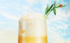 Peach and Fizzy Grapefruit Float