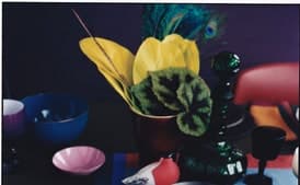 Penne with Tomato Prosciutto Sauce