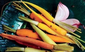 Pickled Carrots with Tarragon