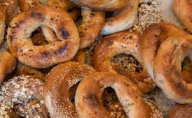 Plain Bagels