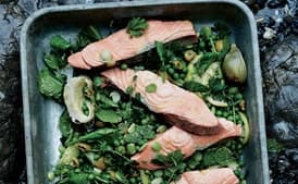 Poached Salmon with Artichoke Confit