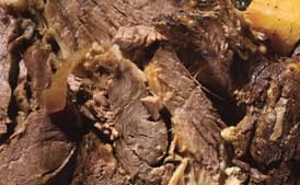 Pot Roast with Winter Root Vegetables