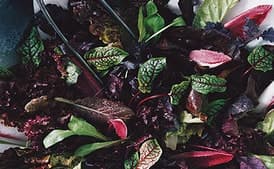 Red Salad with Champagne Vinaigrette