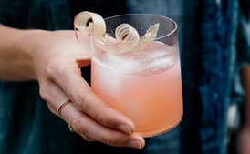 Rhubarb-Fennel Gin Cocktail