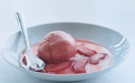 Rhubarb Sorbet with Vanilla Rhubarb Compote