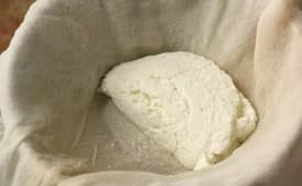 Ricotta Cheese