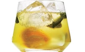 Salted Meyer Lemon and Sage Pressé