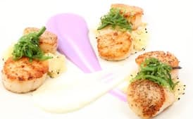 Sautéed Sea Scallops with Apple-Sesame Couscous and Purple and Yellow Cauliflower Purées