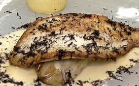 Sauteed Turbot with Braised Endive, Celery Root Flan, Black Truffles, and Garlic Nage