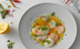 Scallop Crudo