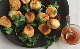 Scallops with Spice Oil