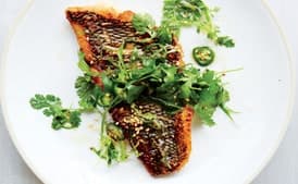 Seared Black Bass With Scallion-Chile Relish