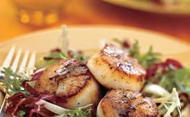 Seared Sea Scallops with Banyuls Vinegar and Chicory Slaw