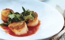 Seared Sea Scallops with Lemongrass Sauce and Basil, Mint and Cilantro Salad