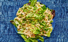 Sesame-Scallion Chicken Salad